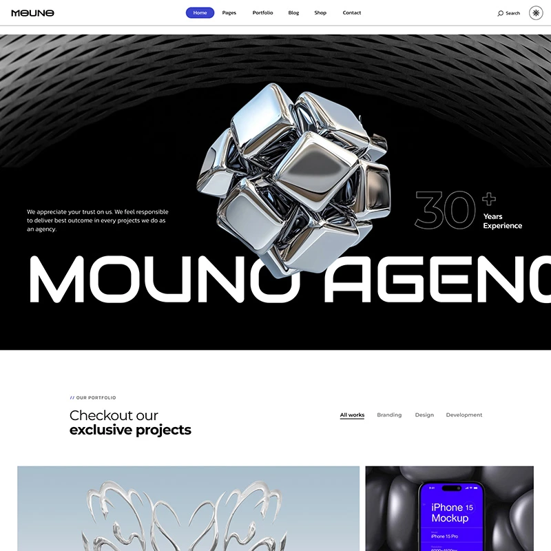 Portfolio 2